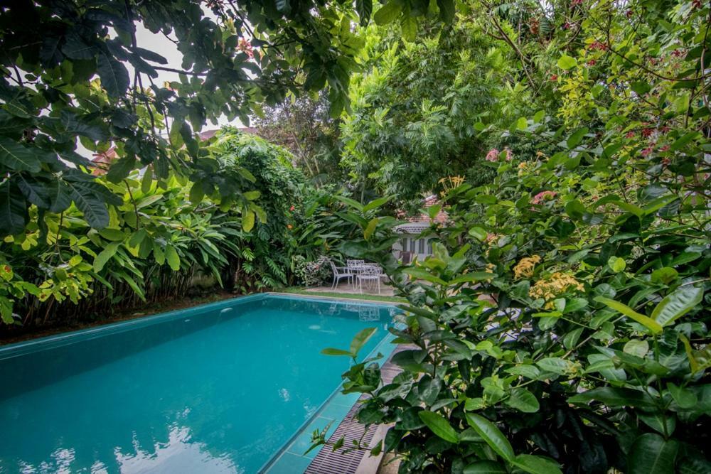 Villa Cozynest Galle Exterior foto